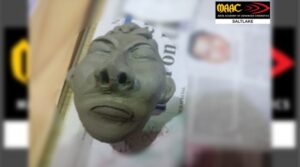 Clay Modelling Workshop